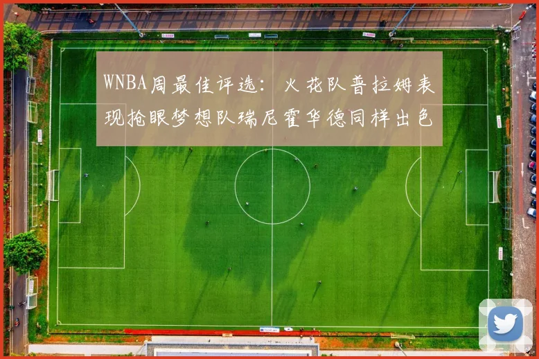 WNBA周最佳评选：火花队普拉姆表现抢眼梦想队瑞尼霍华德同样出色